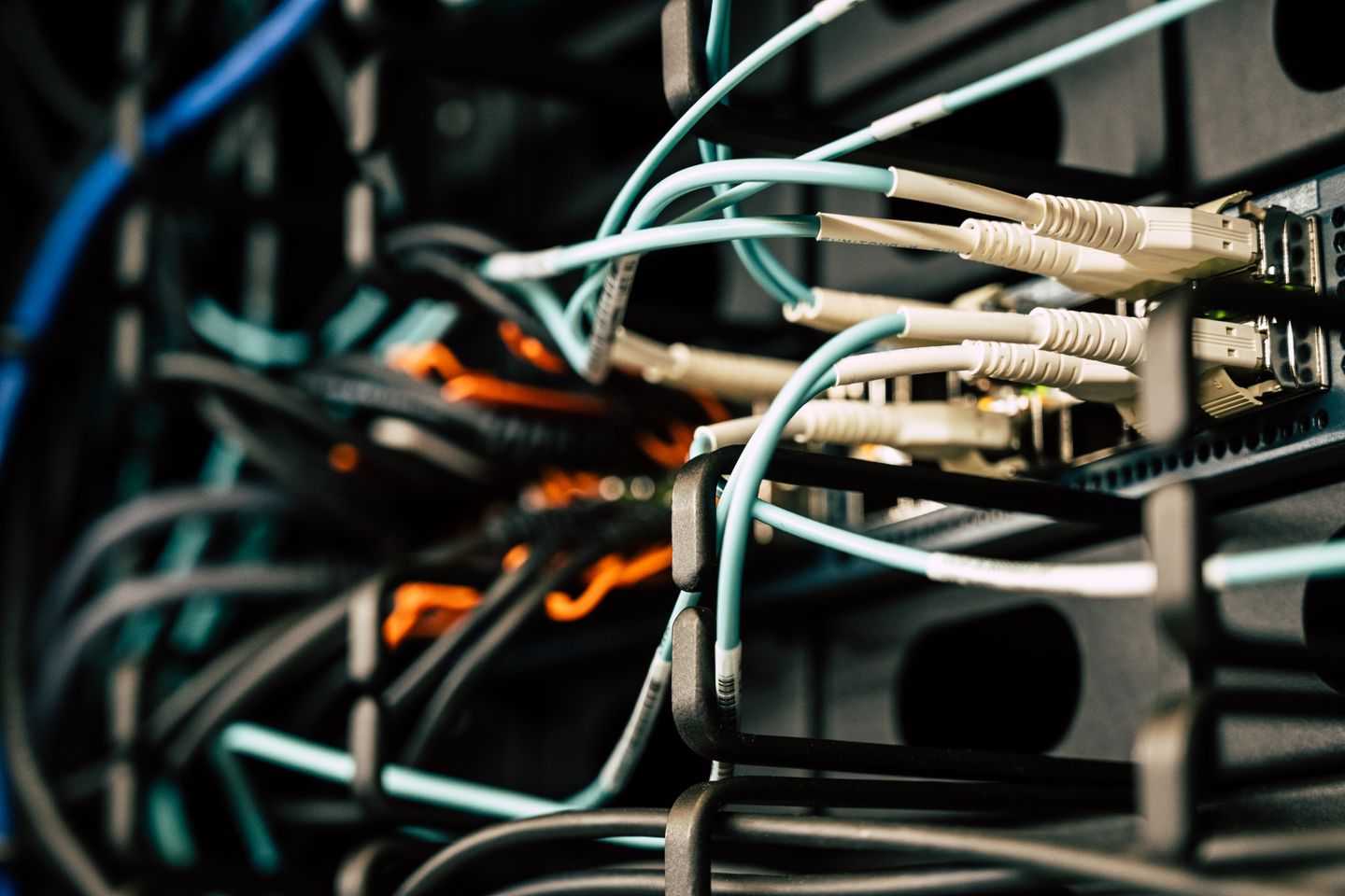 Fibre cables connected to network equipment