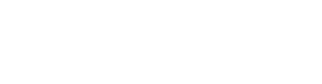 NetyumOne